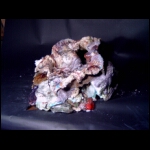 Manganese Star v2 20x30x24 in.JPG